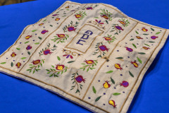 CJC-Passover-5785-4