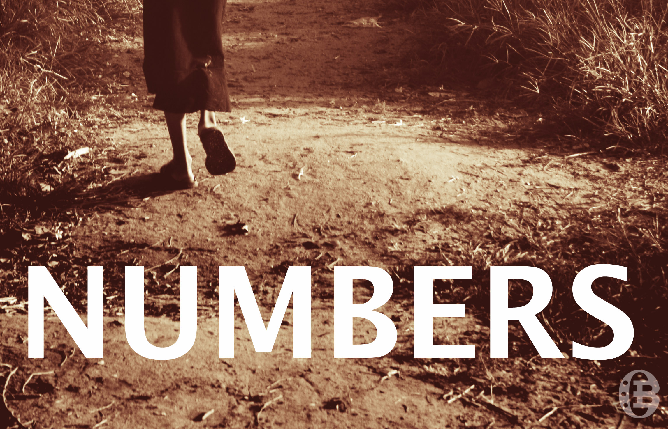 The Book of Numbers with Rabbi Starr