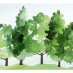 [in-person] Tu B'Shevat Seder/Shabbat Evening Service led by Rabbi Michael Hess Webber and Cantor Steve Hummel