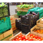 OMI Thanksgiving Food Distribution