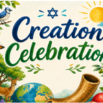Creation Celebration - Ages 7-12
